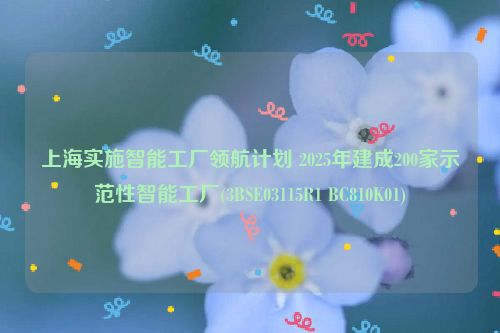 上海实施智能工厂领航计划 2025年建成200家示范性智能工厂(3BSE03115R1 BC810K01)