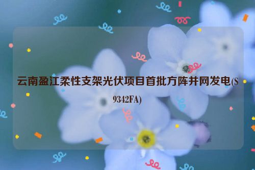 云南盈江柔性支架光伏项目首批方阵并网发电(S9342FA)