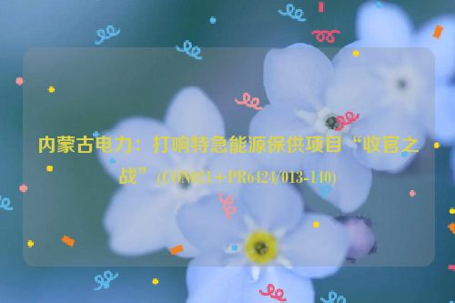 内蒙古电力：打响特急能源保供项目“收官之战”(CON021+PR6424/013-140)