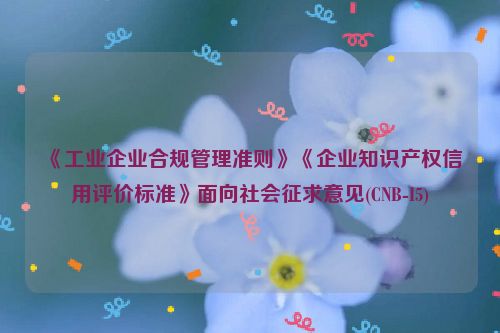 《工业企业合规管理准则》《企业知识产权信用评价标准》面向社会征求意见(CNB-I5)