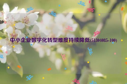 中小企业数字化转型难度持续降低(51304085-100)