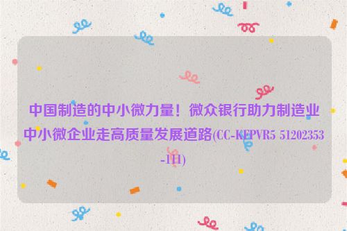 中国制造的中小微力量！微众银行助力制造业中小微企业走高质量发展道路(CC-KFPVR5 51202353-111)