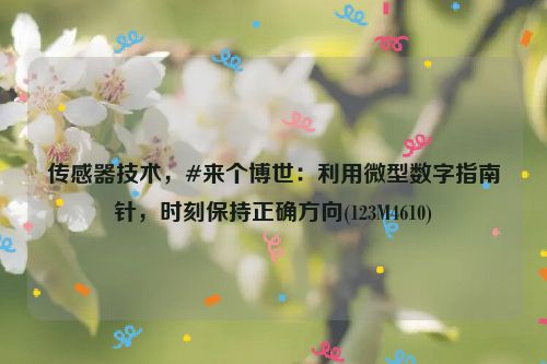 传感器技术，#来个博世：利用微型数字指南针，时刻保持正确方向(123M4610)