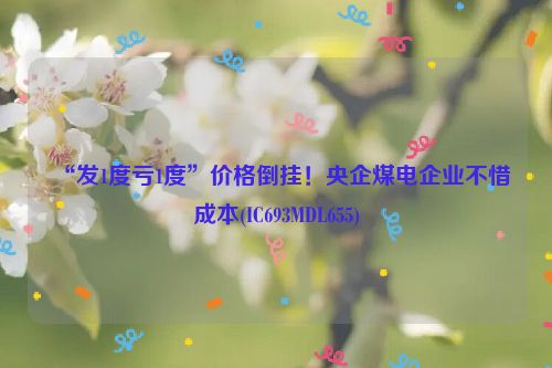 “发1度亏1度”价格倒挂！央企煤电企业不惜成本(IC693MDL655)