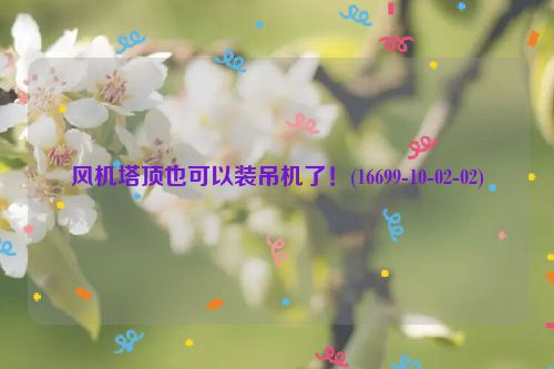 风机塔顶也可以装吊机了！(16699-10-02-02)