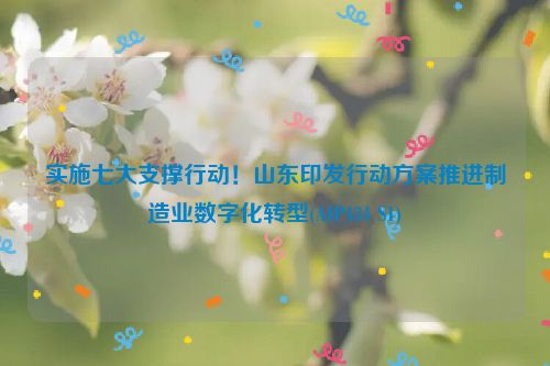 实施七大支撑行动！山东印发行动方案推进制造业数字化转型(AIP434 S1)