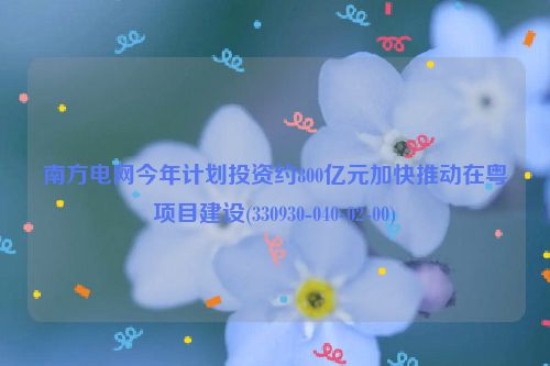 南方电网今年计划投资约800亿元加快推动在粤项目建设(330930-040-02-00)