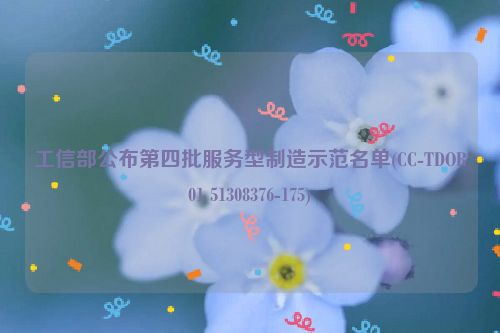 工信部公布第四批服务型制造示范名单(CC-TDOR01 51308376-175)