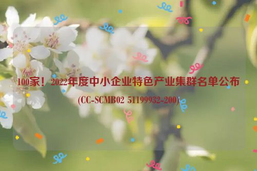 100家！2022年度中小企业特色产业集群名单公布(CC-SCMB02 51199932-200)