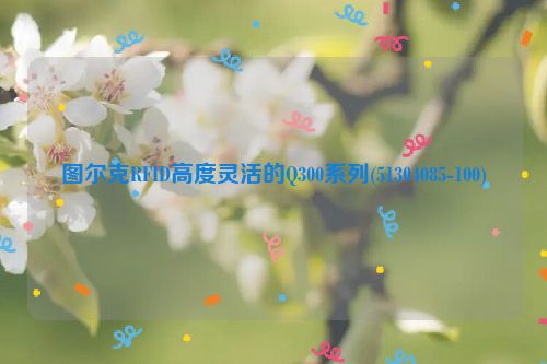 图尔克RFID高度灵活的Q300系列(51304085-100)