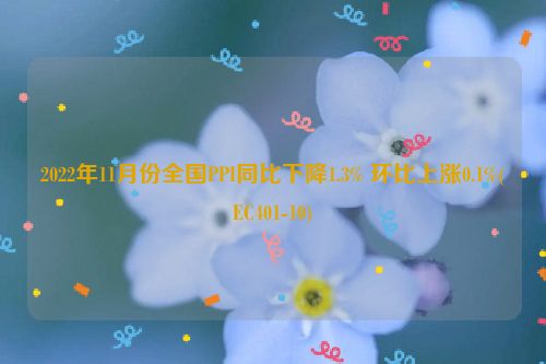 2022年11月份全国PPI同比下降1.3% 环比上涨0.1%(EC401-10)