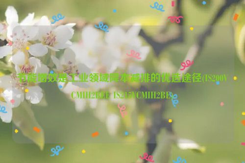 节能增效是工业领域降本减排的优选途径(IS200VCMIH2BEE IS215VCMIH2BE)