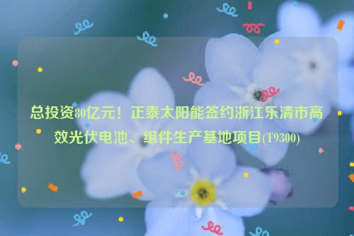 总投资80亿元！正泰太阳能签约浙江乐清市高效光伏电池、组件生产基地项目(T9300)