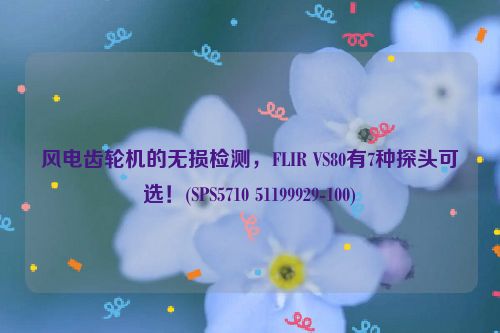 风电齿轮机的无损检测，FLIR VS80有7种探头可选！(SPS5710 51199929-100)