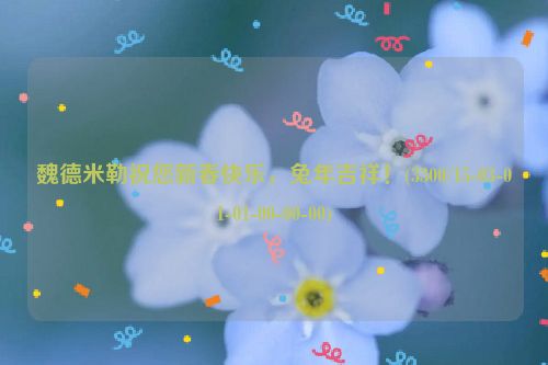 魏德米勒祝您新春快乐，兔年吉祥！(3300/15-03-01-01-00-00-00)