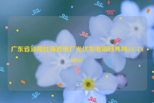 广东省汕尾红海湾电厂光伏发电项目并网(CC-TAID01)