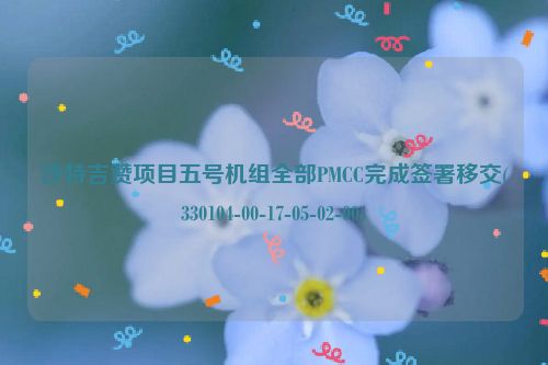 沙特吉赞项目五号机组全部PMCC完成签署移交(330104-00-17-05-02-00)