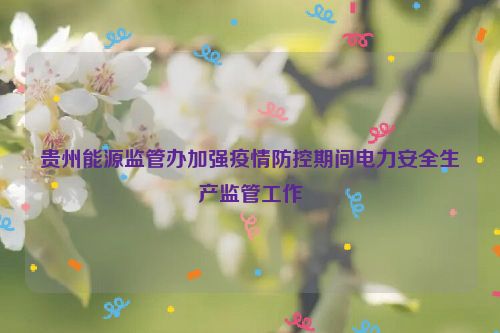 贵州能源监管办加强疫情防控期间电力安全生产监管工作