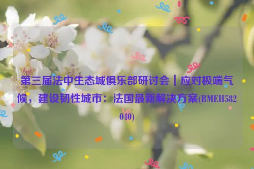 第三届法中生态城俱乐部研讨会｜应对极端气候，建设韧性城市：法国最新解决方案(BMEH582040)