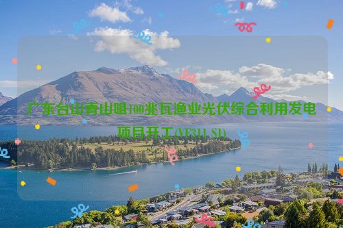 广东台山青山咀100兆瓦渔业光伏综合利用发电项目开工(VF311 S1)