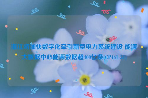 浙江将加快数字化牵引新型电力系统建设 能源大数据中心能源数据超400亿条(CP461-51)