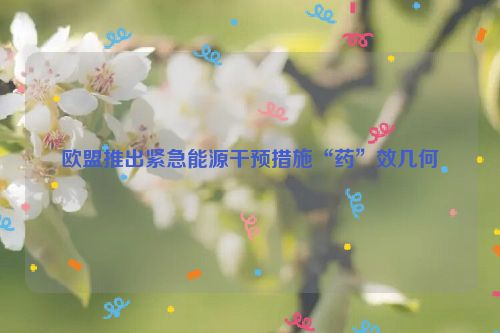 欧盟推出紧急能源干预措施“药”效几何