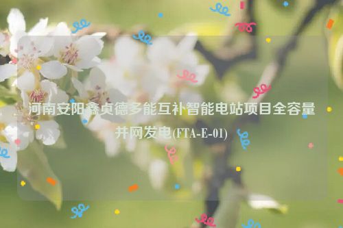 河南安阳鑫贞德多能互补智能电站项目全容量并网发电(FTA-E-01)