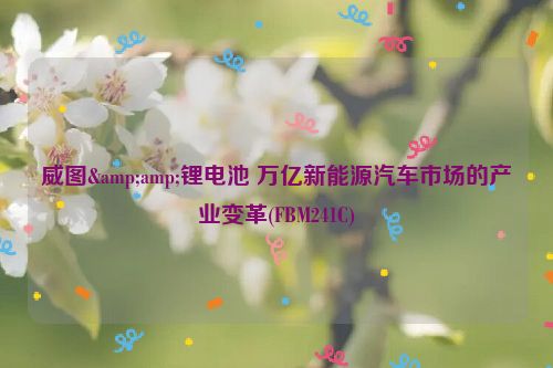 威图&amp;锂电池 万亿新能源汽车市场的产业变革(FBM241C)