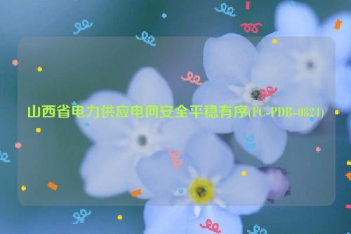 山西省电力供应电网安全平稳有序(FC-PDB-0824)