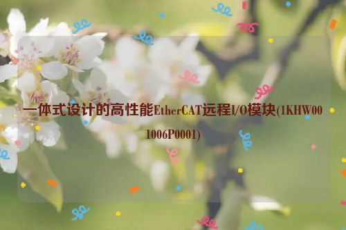 一体式设计的高性能EtherCAT远程I/O模块(1KHW001006P0001)