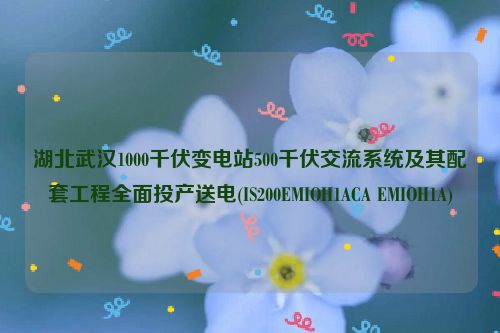 湖北武汉1000千伏变电站500千伏交流系统及其配套工程全面投产送电(IS200EMIOH1ACA EMIOH1A)