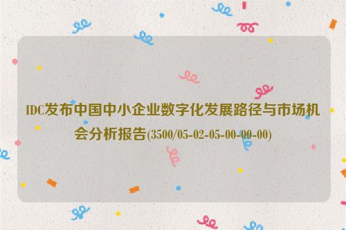 IDC发布中国中小企业数字化发展路径与市场机会分析报告(3500/05-02-05-00-00-00)