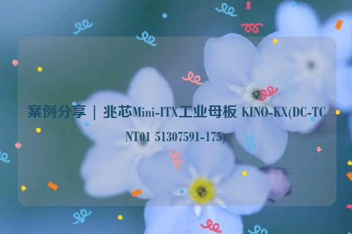 案例分享 | 兆芯Mini-ITX工业母板 KINO-KX(DC-TCNT01 51307591-175)