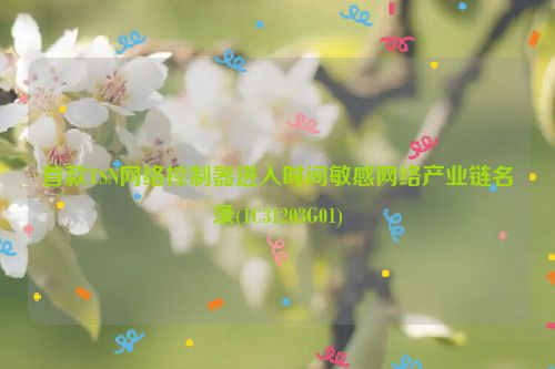 首款TSN网络控制器进入时间敏感网络产业链名录(1C31203G01)