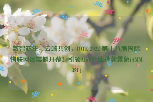 数智芯生，云端共创，IOTE 2022 第十八届国际物联网展震撼开幕！引领AIoT产业蓬勃景象(AMM32C)