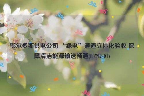 鄂尔多斯供电公司 “绿电”通道立体化验收 保障清洁能源输送畅通(83792-01)