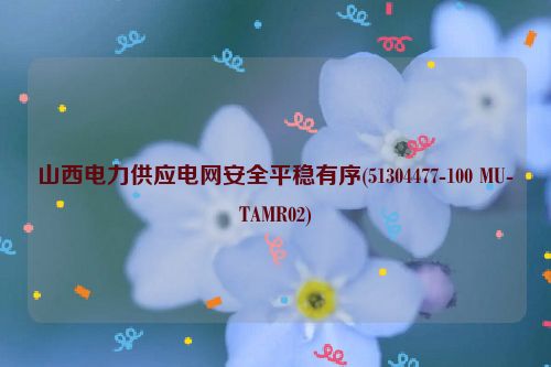 山西电力供应电网安全平稳有序(51304477-100 MU-TAMR02)