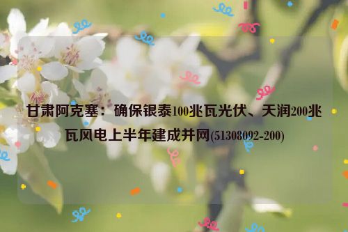 甘肃阿克塞：确保银泰100兆瓦光伏、天润200兆瓦风电上半年建成并网(51308092-200)