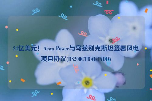 24亿美元！Acwa Power与乌兹别克斯坦签署风电项目协议(DS200CTBAG1ADD)