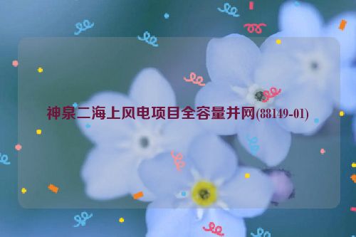 神泉二海上风电项目全容量并网(88149-01)