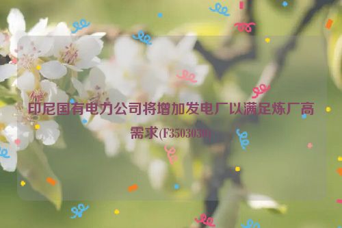 印尼国有电力公司将增加发电厂以满足炼厂高需求(F3503030)