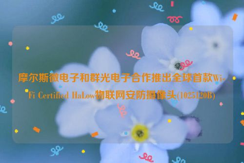 摩尔斯微电子和群光电子合作推出全球首款Wi-Fi Certified HaLow物联网安防摄像头(1025120B)