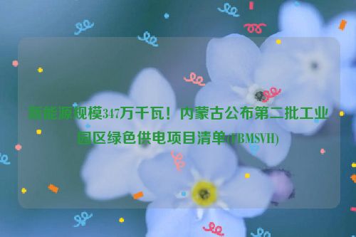 新能源规模347万千瓦！内蒙古公布第二批工业园区绿色供电项目清单(FBMSVH)