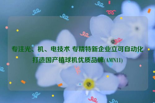 专注光、机、电技术 专精特新企业立可自动化打造国产植球机优质品牌(AMN11)