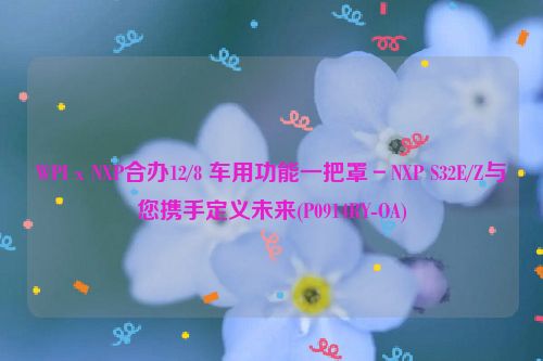 WPIｘNXP合办12/8 车用功能一把罩－NXP S32E/Z与您携手定义未来(P0914RY-OA)