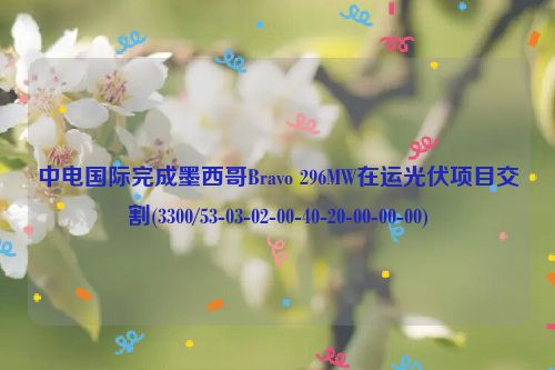 中电国际完成墨西哥Bravo 296MW在运光伏项目交割(3300/53-03-02-00-40-20-00-00-00)