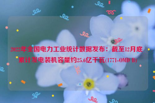 2022年全国电力工业统计数据发布：截至12月底 累计发电装机容量约25.6亿千瓦(1771-OMD B)