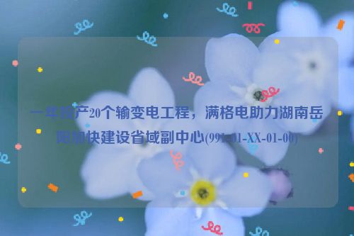 一年投产20个输变电工程，满格电助力湖南岳阳加快建设省域副中心(991-01-XX-01-00)