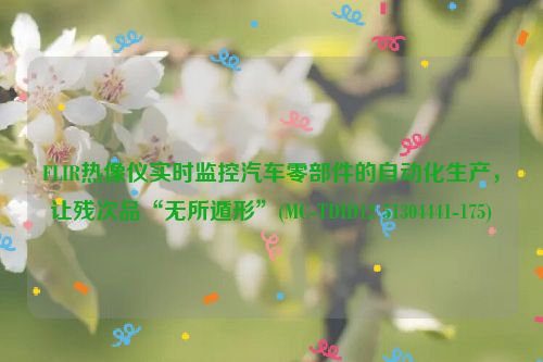 FLIR热像仪实时监控汽车零部件的自动化生产，让残次品“无所遁形”(MC-TDID12 51304441-175)