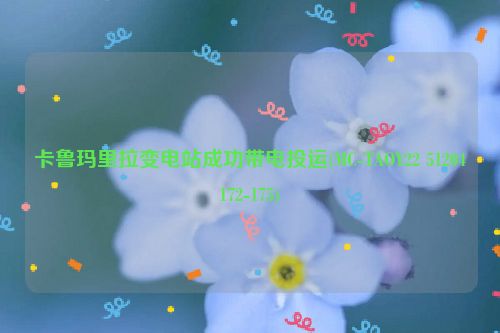 卡鲁玛里拉变电站成功带电投运(MC-TAOY22 51204172-175)